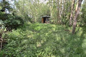 Cabin & Woodlands- click for photo gallery
